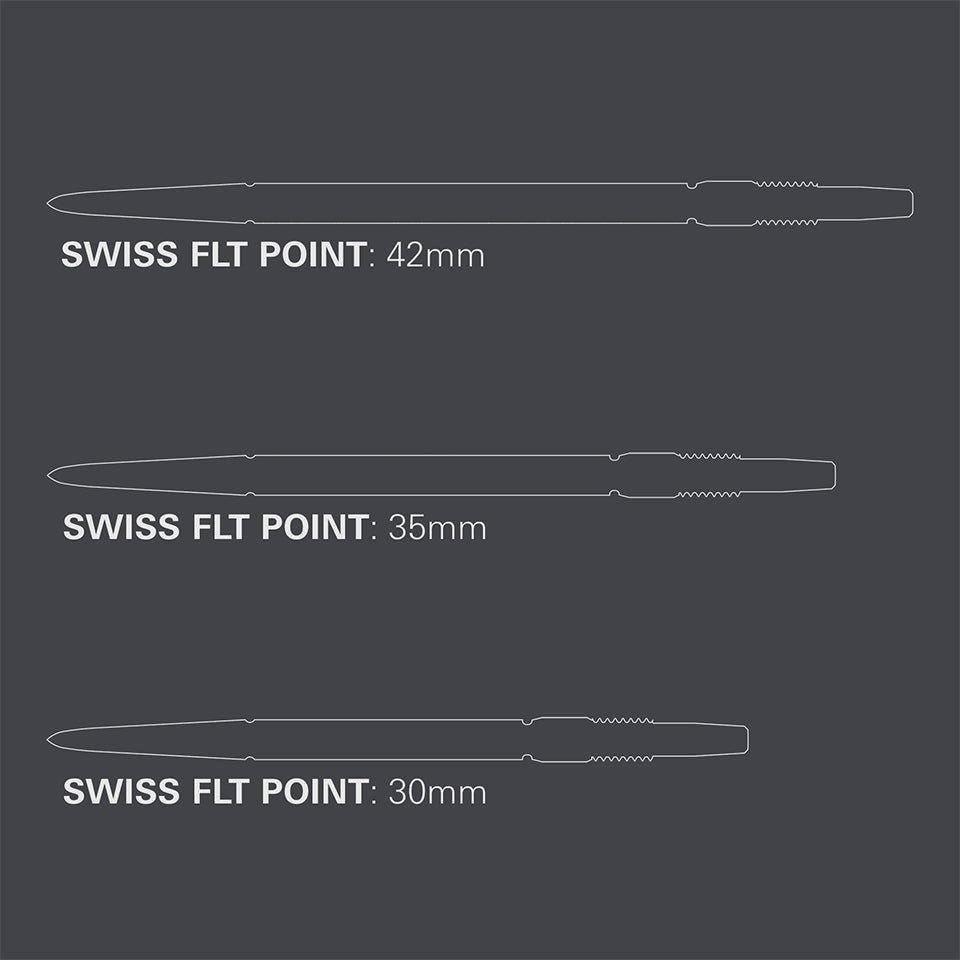 Target Swiss FLT Steel Points - Silver 30mm