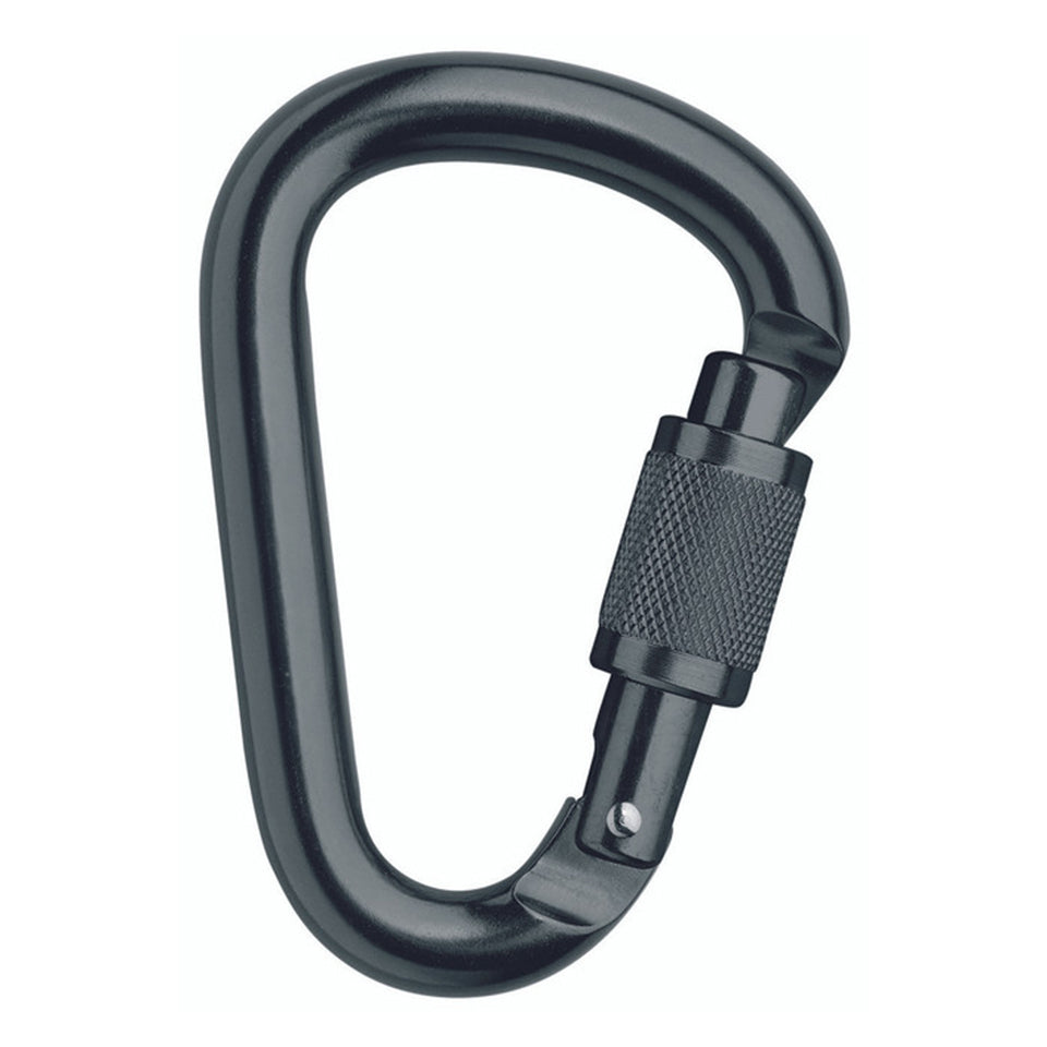 Aluminum Screwlock Carabiner