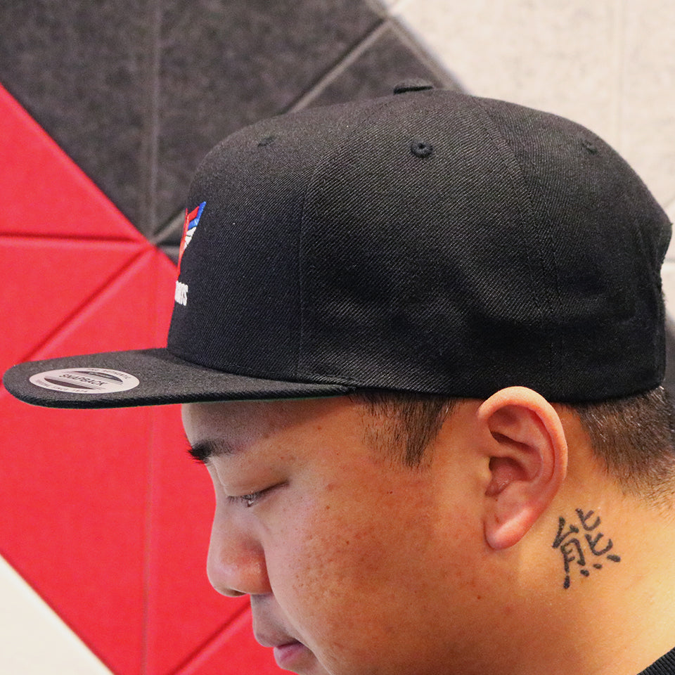 USA Darts Yupoong 6089 Snapback Hat - Black