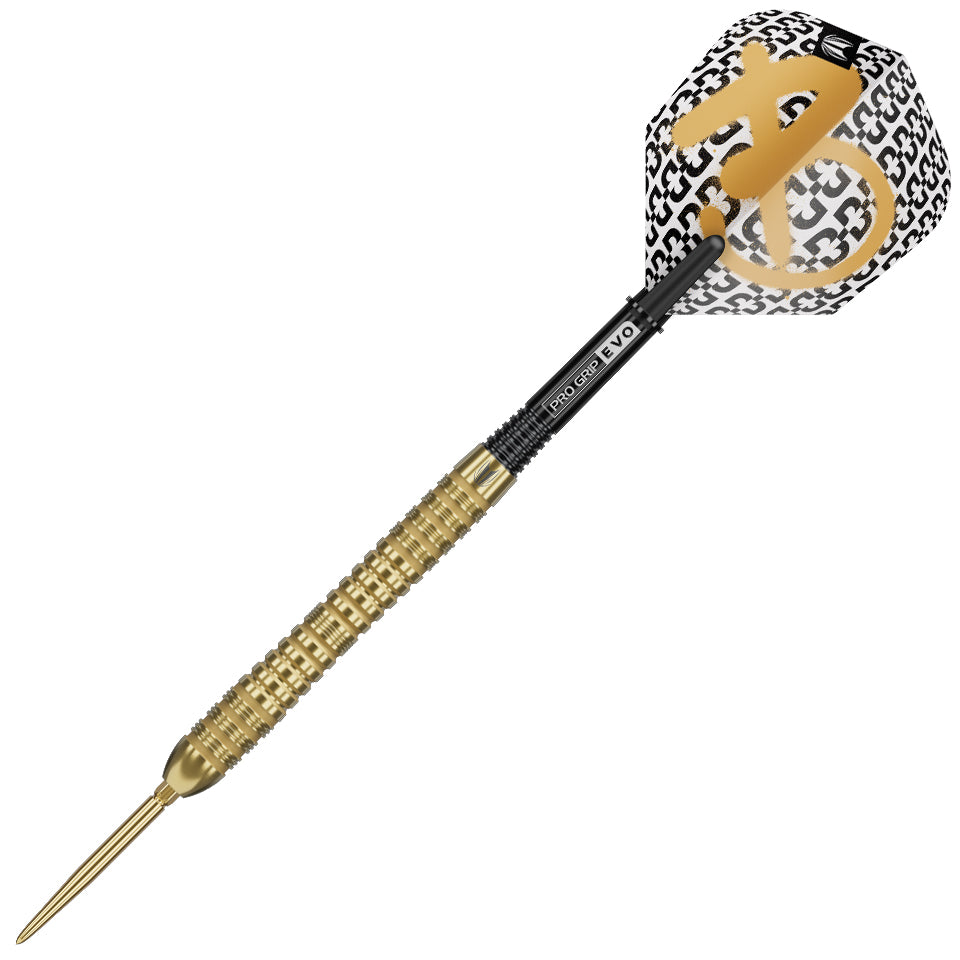 Target Bolide Envy 04 Swiss Point Steel Tip Darts - 21gm