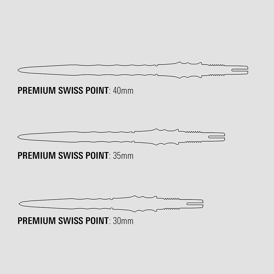 Target Japan Premium Swiss Steel Points - Silver 30mm