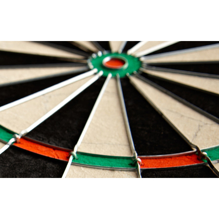 Winmau Diamond Plus Dartboard