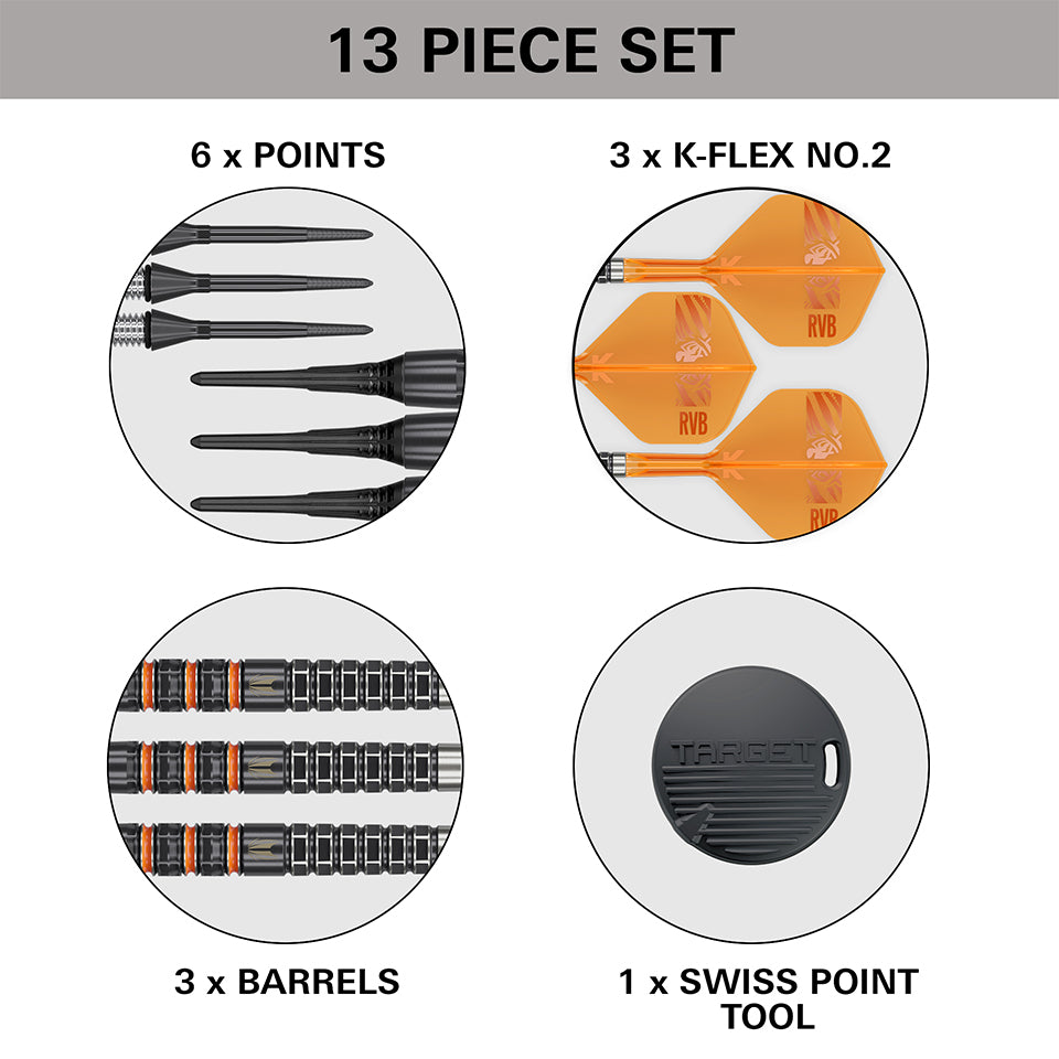 Target Raymond Van Barneveld 95k Soft Tip Darts - 20gm