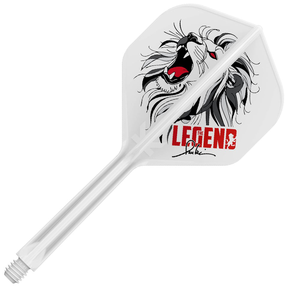 Target Paul Lim K-Flex Flight System - No2 Medium