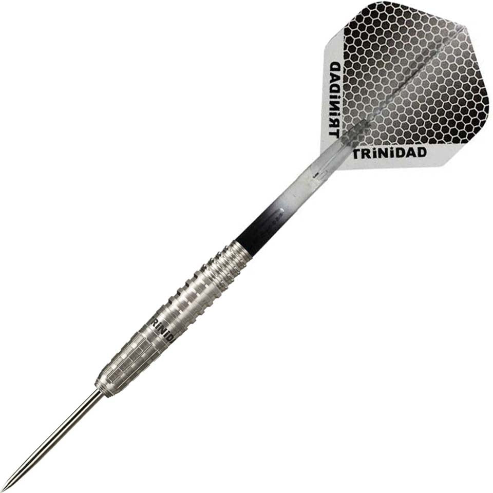 Trinidad Gonzalez Type 3 Steel Tip Darts - 20gm