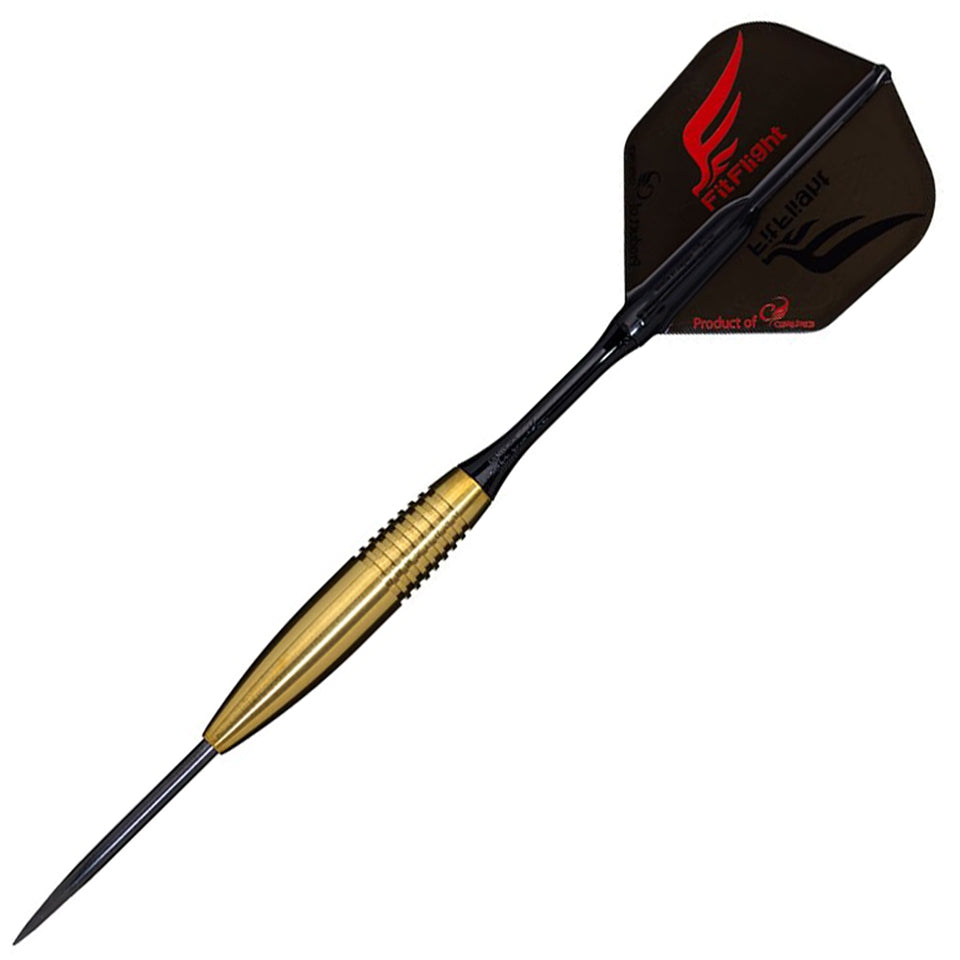 Cosmo Discovery Label Andrew Gilding Steel Tip Darts - 24g