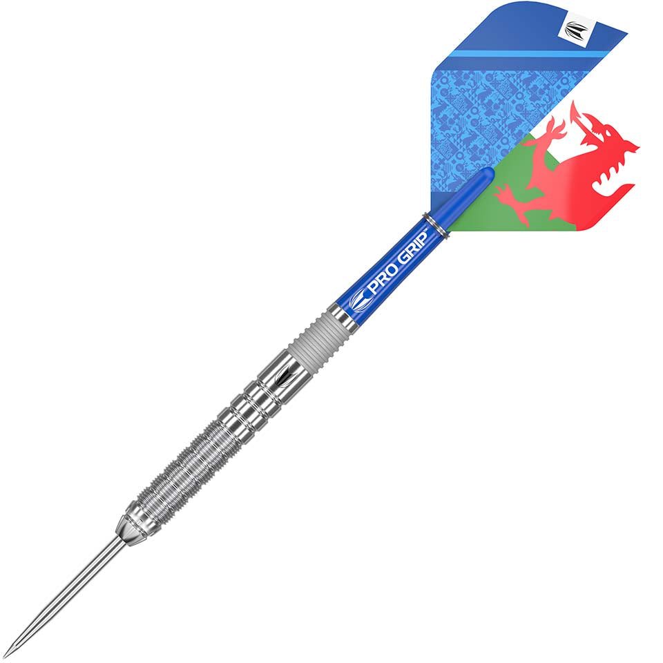 Target Lewy Williams Steel Tip Darts - 25gm